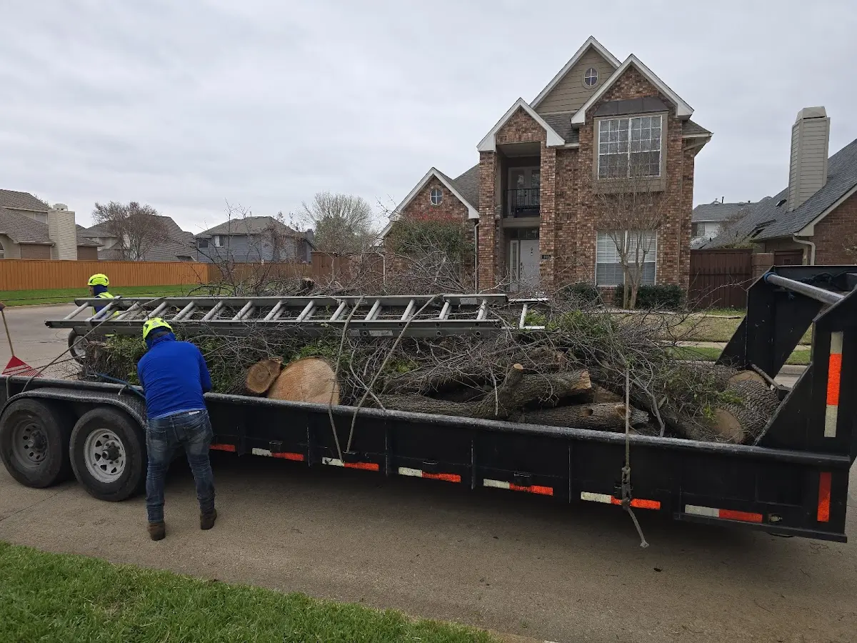 Expert Tree Removal with proper safety equipment in Watkins